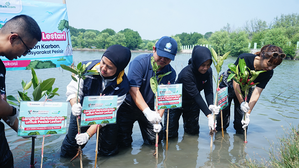 Restorasi Ekosistem Pascabanjir, Bukalapak, Visi Jaya Indonesia (VJI), 