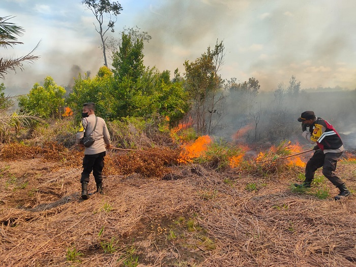 Lima Hektar Lahan di Kalteng Kebakaran, Waspada Awal Musim Kemarau 