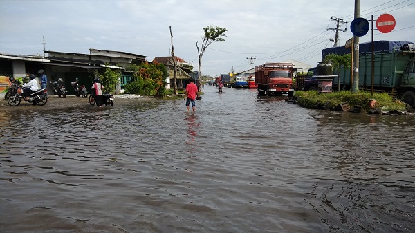 Gotong-Royong BPBD Gabungan Atasi Banjir Rob Semarang